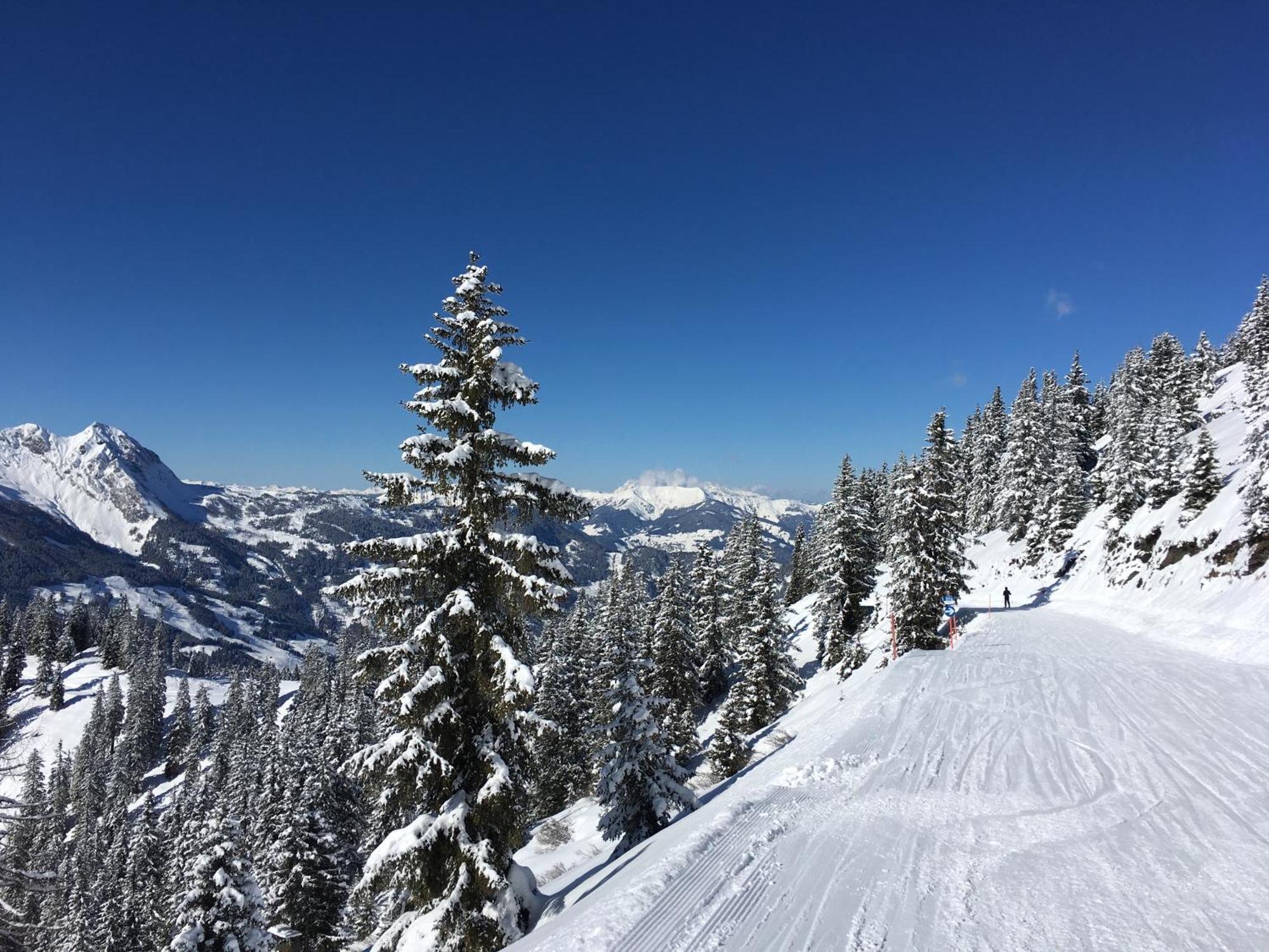 Top 12, Am Sonnenhang, Hochstrasse Schladming Eksteriør bilde